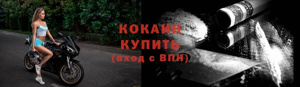 кокс Арсеньев