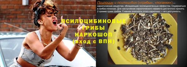 кокс Арсеньев
