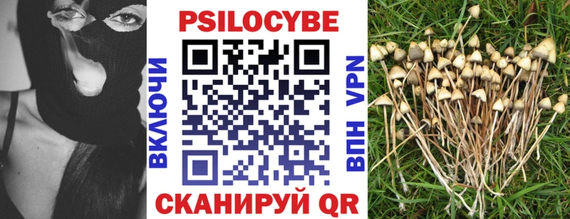 Галлюциногенные грибы Cubensis  Моздок 